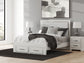 Zuraleus Queen Upholstered Panel Storage Bed